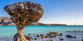 Playa Balandra es uno de los sitios favoritos y de visita casi obligada para los viajeros que llegan a La Paz, Baja California Sur