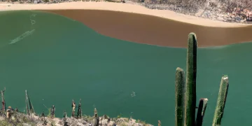 Descubre las Maravillas de Baja California Sur en Septiembre