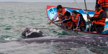 Niños observando una ballena gris en Puerto Chale