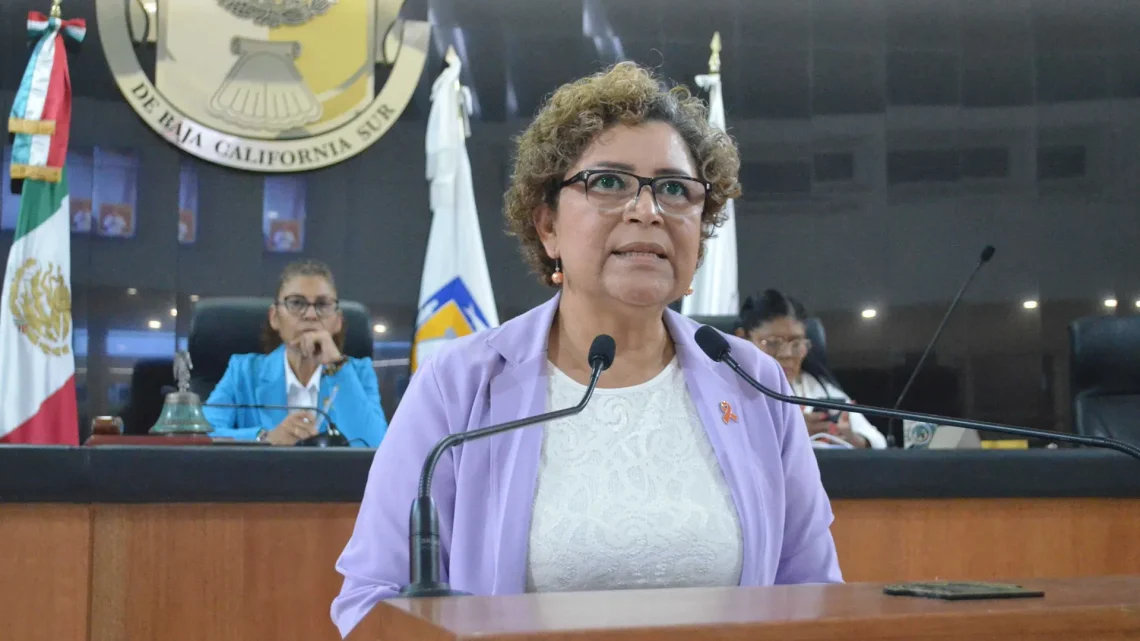 Diputada María Luisa Ojeda - Violencia BCS Mujeres