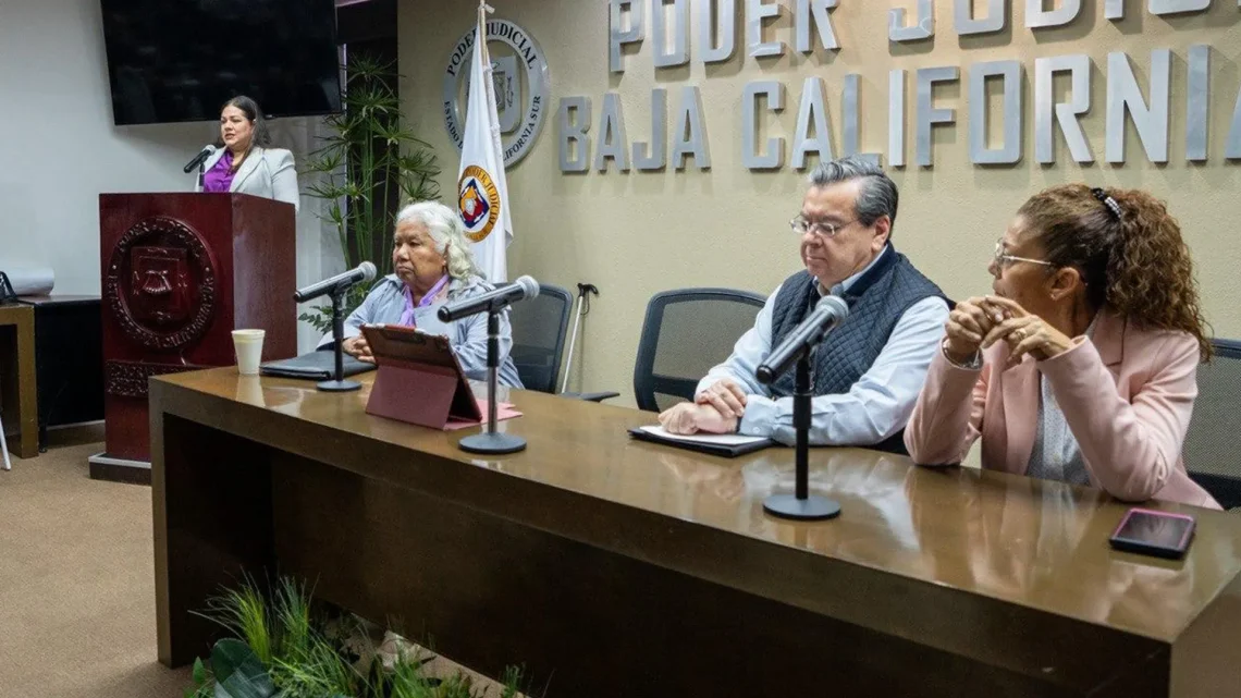 Taller debida diligencia y perspectiva de género - Gabriela Cisneros