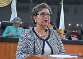 Dip María Luisa Ojeda González