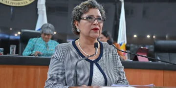 Dip María Luisa Ojeda González