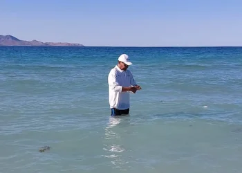 Confirma COEPRIS condiciones óptimas en playas de La Paz; laboratorio hizo análisis, indcan