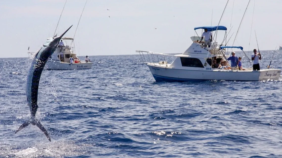 Pesca deportiva en Baja California Sur / Foto: Cortesía / Nomonday.mx