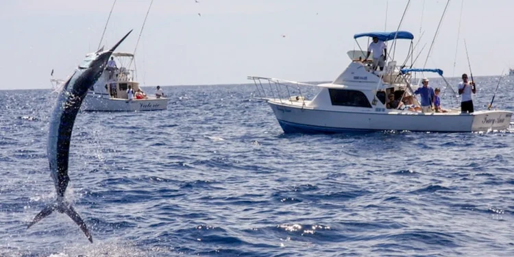 Pesca deportiva en Baja California Sur / Foto: Cortesía / Nomonday.mx