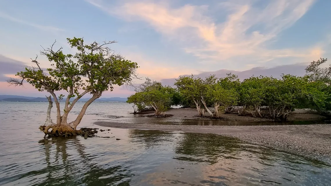Playa el Comitán - La Paz, Baja California Sur