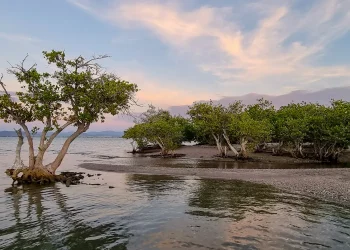 Playa el Comitán - La Paz, Baja California Sur