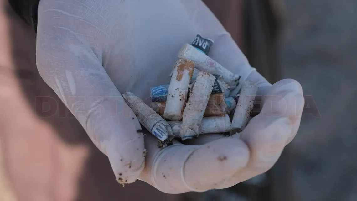 Recolección de Basura y colillas de cigarr en playa El Comitán