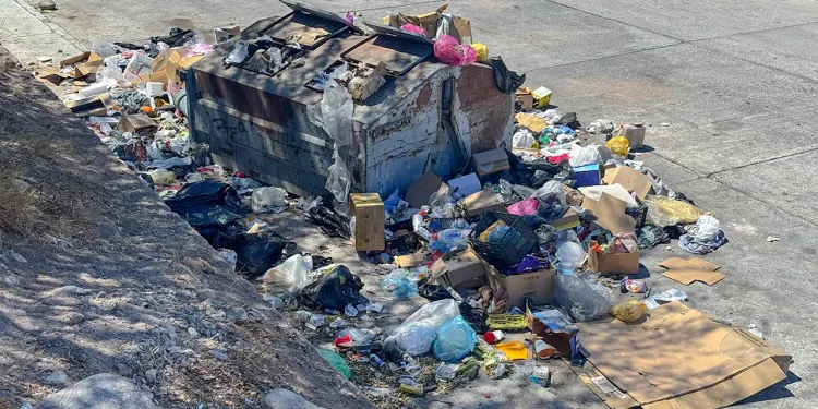 La decisión se basa en el análisis de recolección de 43 toneladas en La Paz, que reveló mayor separación de cartón y plástico / Foto: Pablo Diestro / Diestro.Media