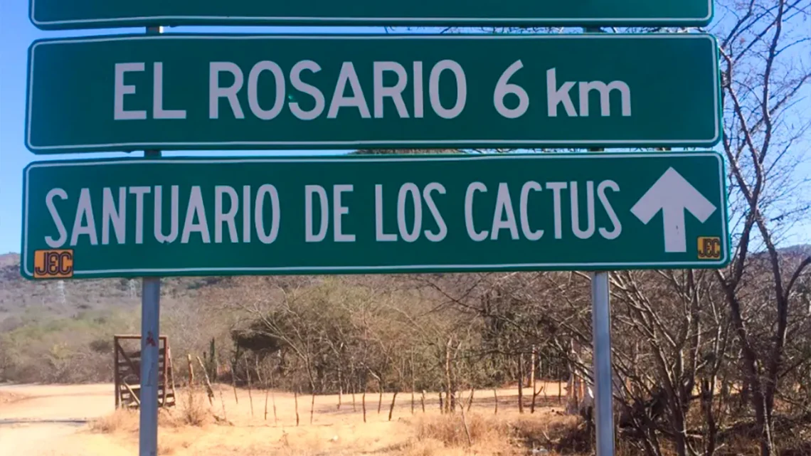 El Rosario presenta modelo innovador de turismo rural que combina biodiversidad regional, sabiduría tradicional y experiencias educativas para visitantes / Foto: Cortesía / El Rosario BCS en Facebook