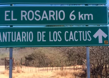 El Rosario presenta modelo innovador de turismo rural que combina biodiversidad regional, sabiduría tradicional y experiencias educativas para visitantes / Foto: Cortesía / El Rosario BCS en Facebook