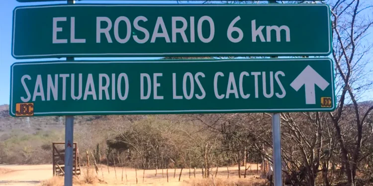 El Rosario presenta modelo innovador de turismo rural que combina biodiversidad regional, sabiduría tradicional y experiencias educativas para visitantes / Foto: Cortesía / El Rosario BCS en Facebook