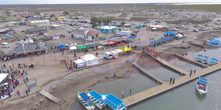 Avistamiento de ballena gris, lobos marinos y aves convirtió a Puerto Chale en caso de éxito / Foto: Fernando Becerra / Diestro.Media